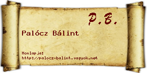 Palócz Bálint névjegykártya